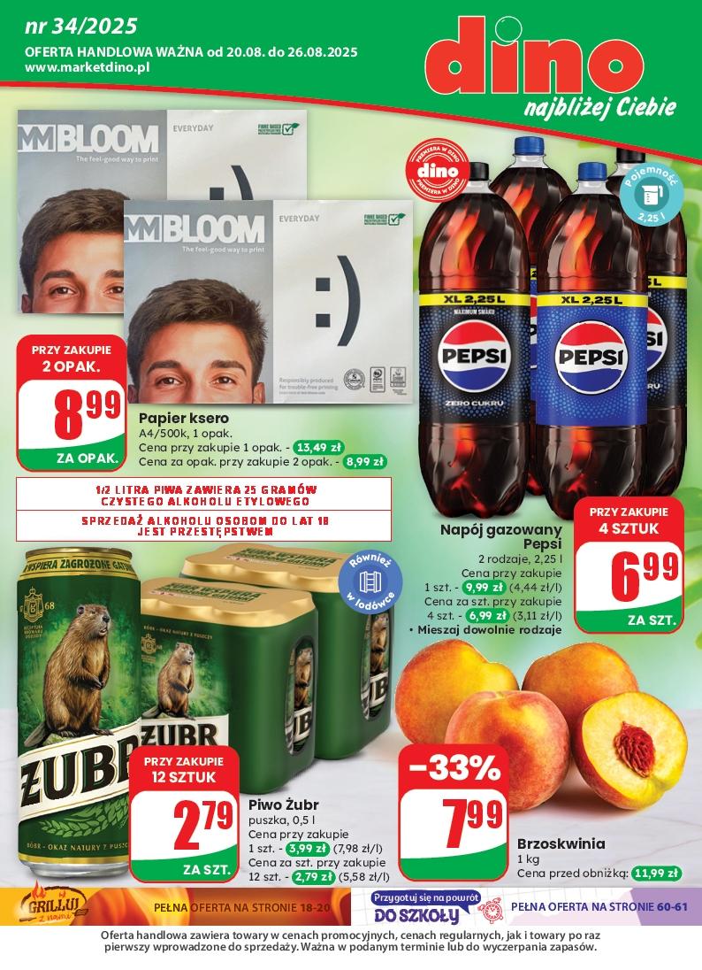 Gazetka promocyjna DINO str. 1