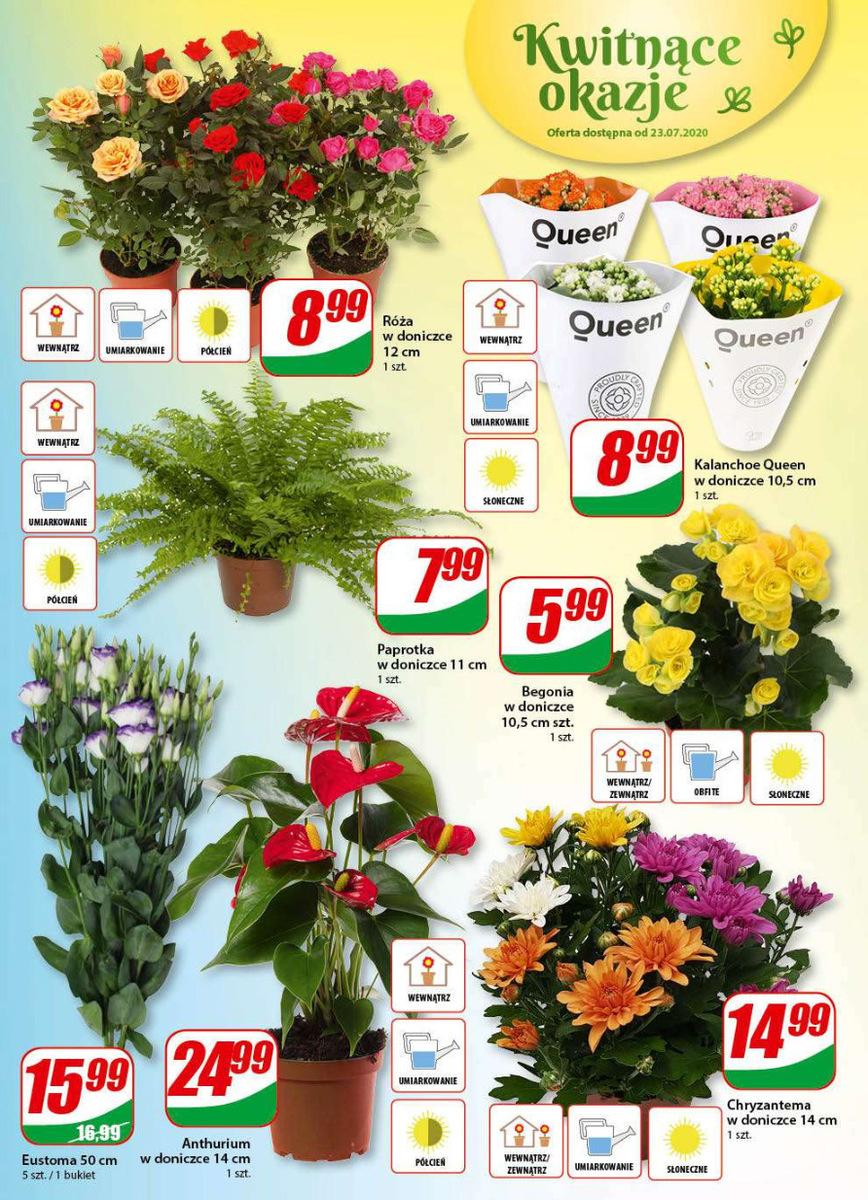 Gazetka promocyjna DINO str. 14