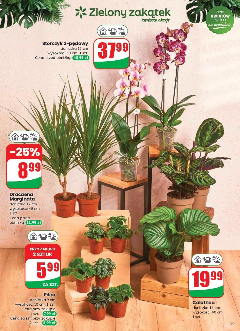 Gazetka promocyjna DINO str. 58