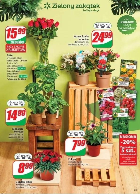 Gazetka promocyjna DINO str. 55