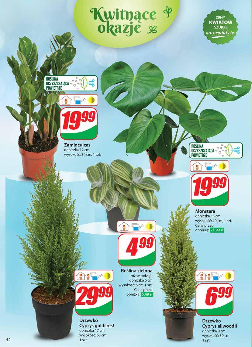 Gazetka promocyjna DINO str. 52