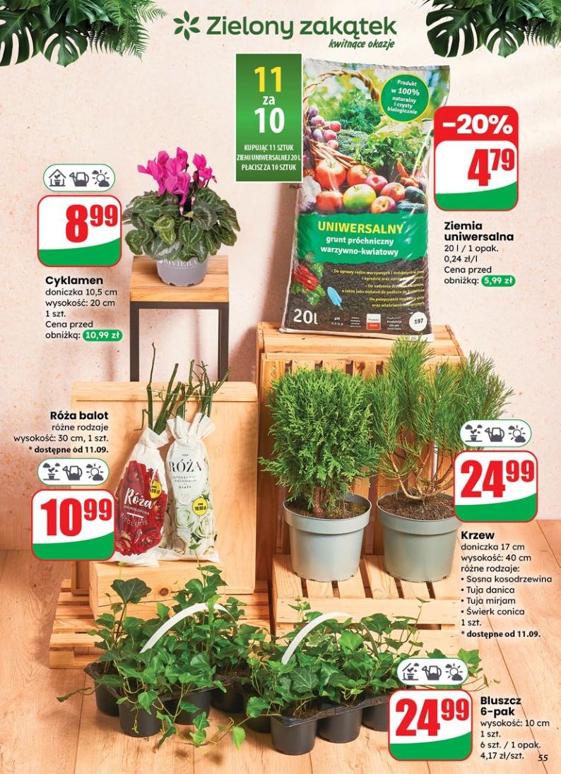 Gazetka promocyjna DINO str. 55