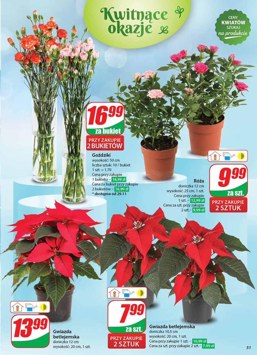 Gazetka promocyjna DINO str. 51