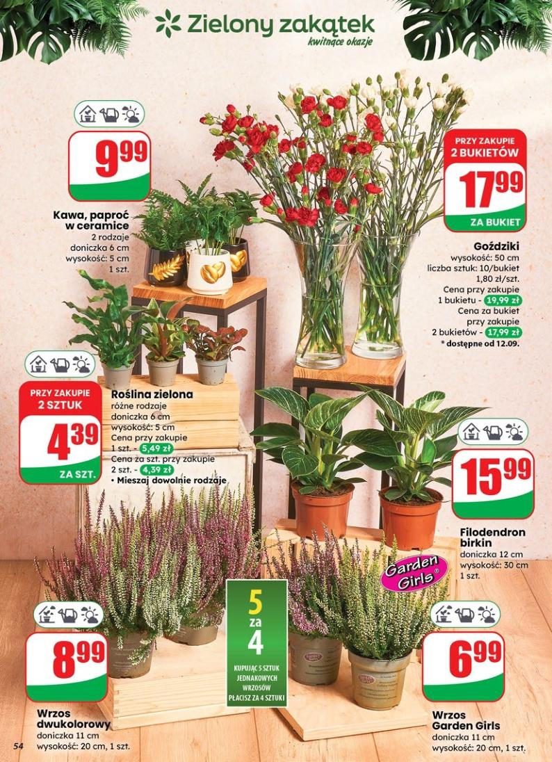 Gazetka promocyjna DINO str. 54