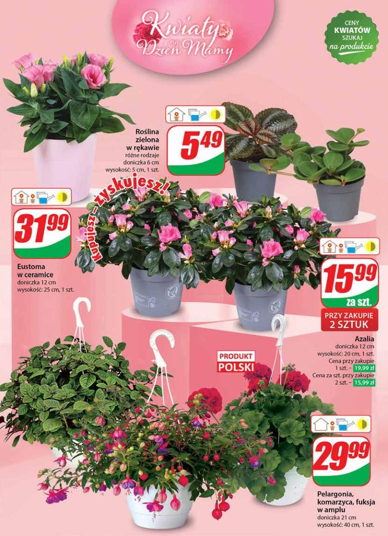 Gazetka promocyjna DINO str. 47