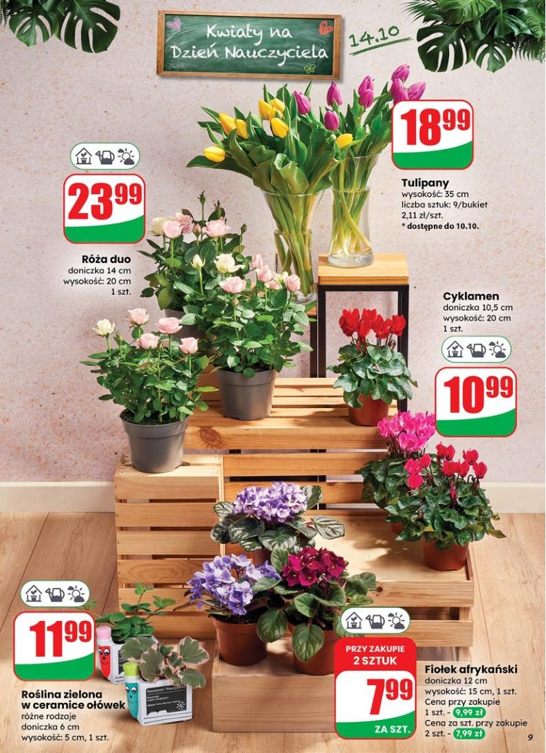 Gazetka promocyjna DINO str. 9