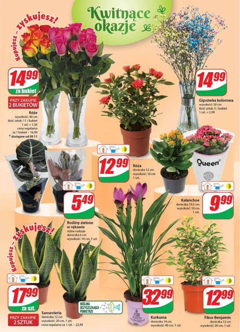 Gazetka promocyjna DINO str. 19