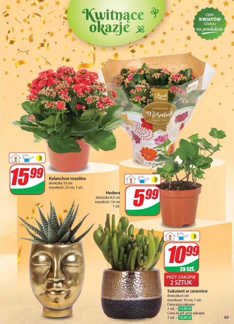 Gazetka promocyjna DINO str. 62