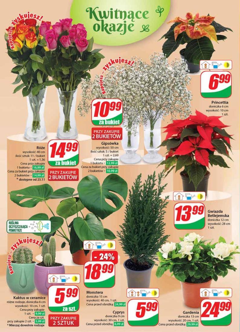 Gazetka promocyjna DINO str. 22