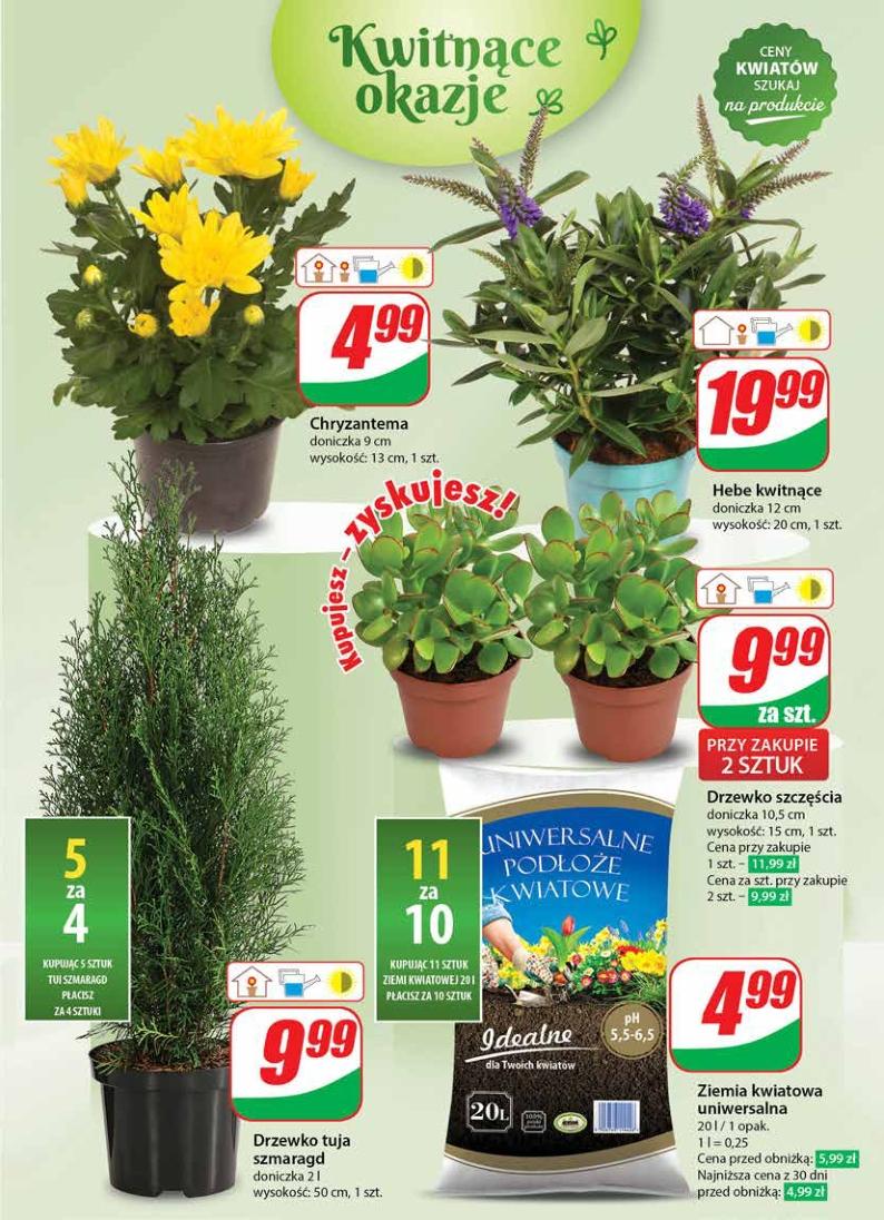 Gazetka promocyjna DINO str. 53