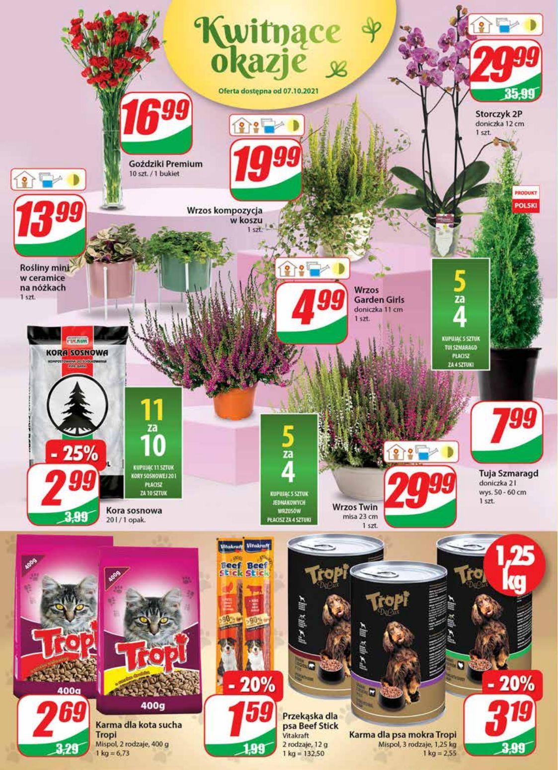 Gazetka promocyjna DINO str. 16