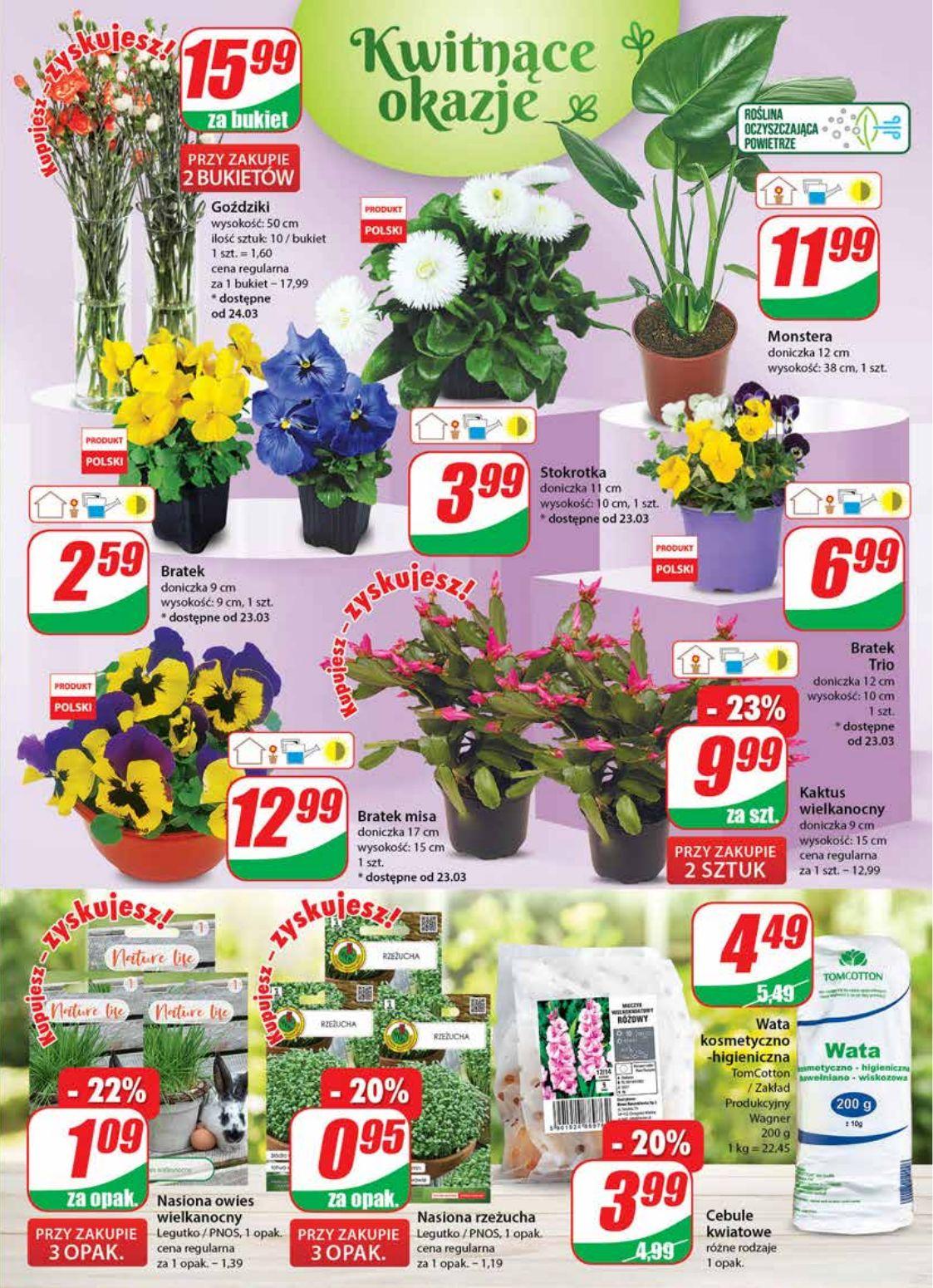 Gazetka promocyjna DINO str. 19