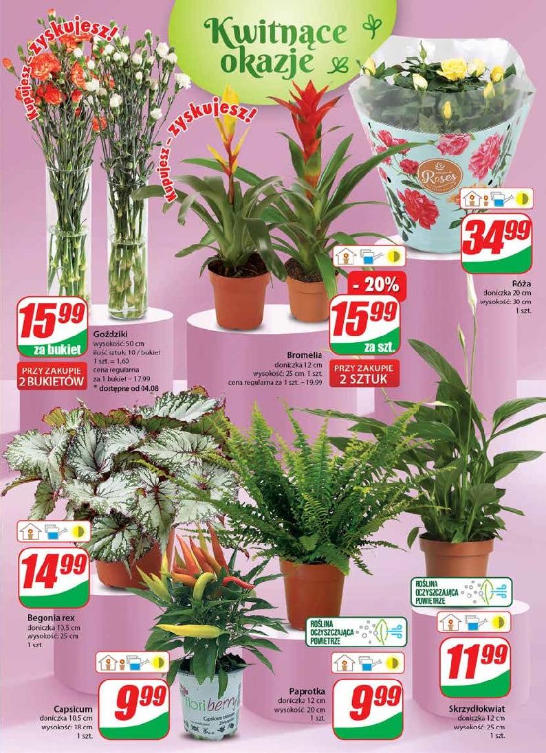 Gazetka promocyjna DINO str. 19