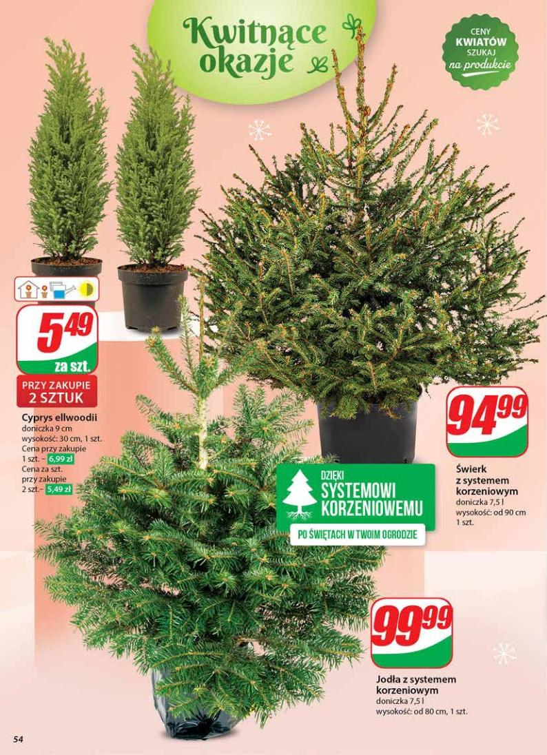 Gazetka promocyjna DINO str. 54
