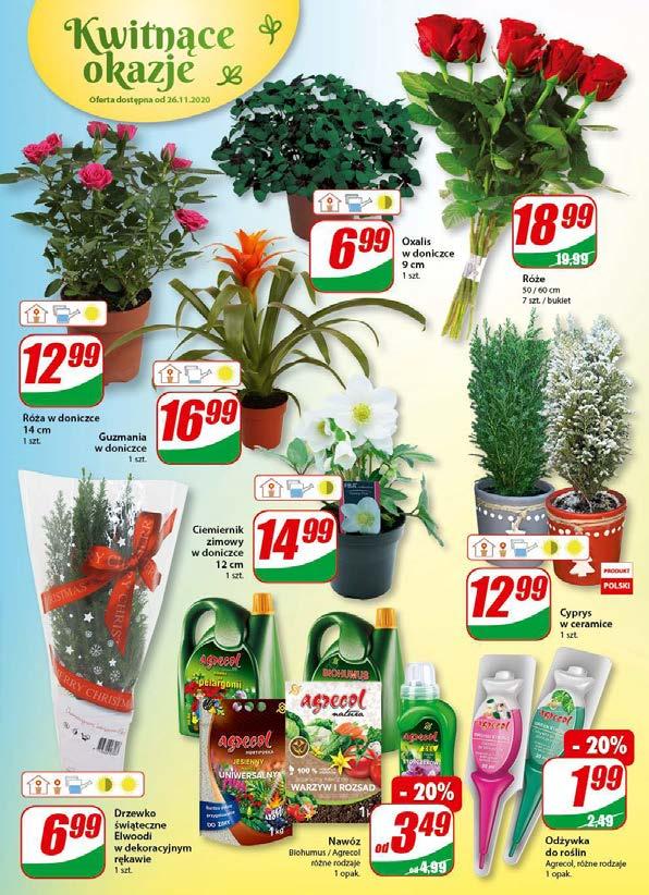 Gazetka promocyjna DINO str. 19