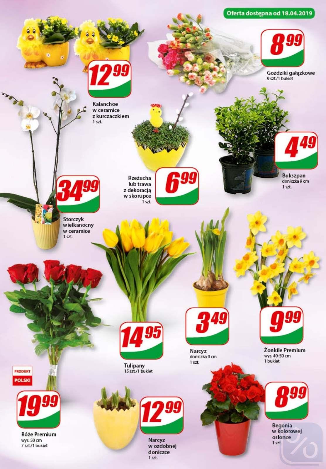 Gazetka promocyjna DINO str. 16