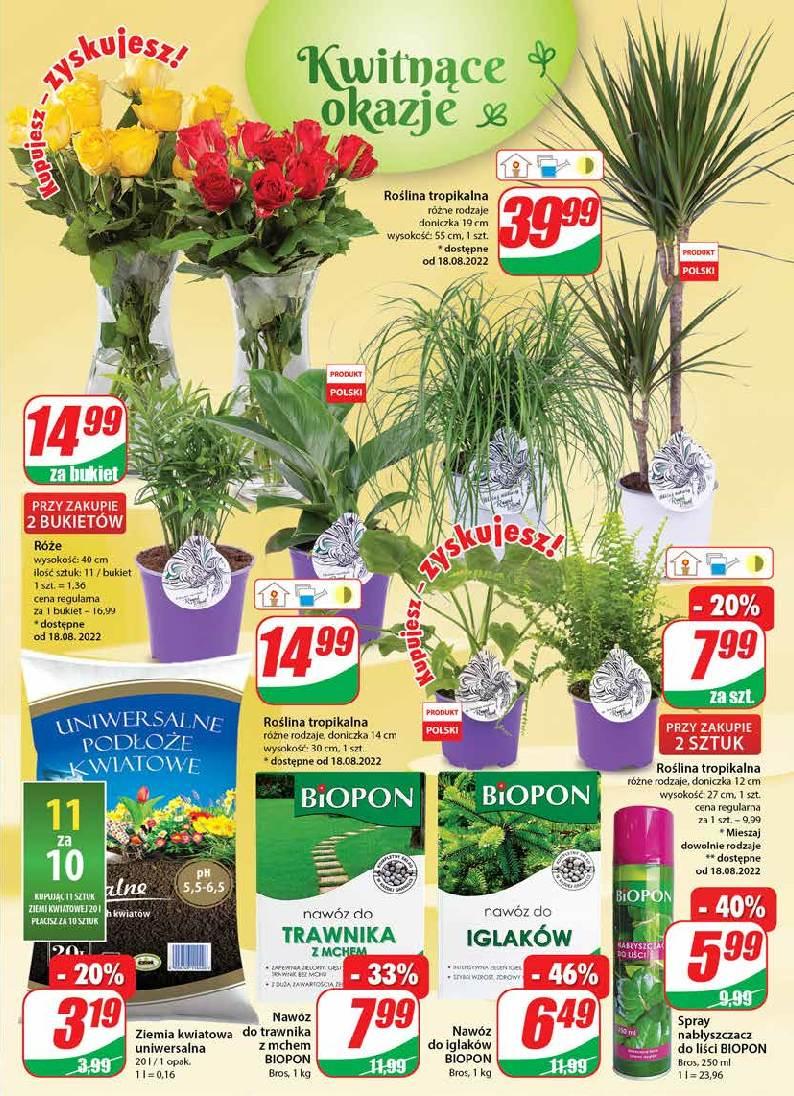 Gazetka promocyjna DINO str. 17