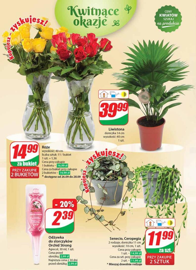 Gazetka promocyjna DINO str. 48