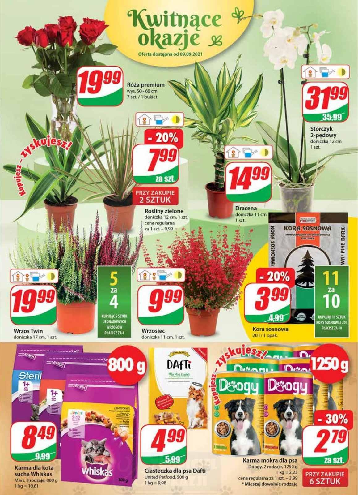 Gazetka promocyjna DINO str. 15