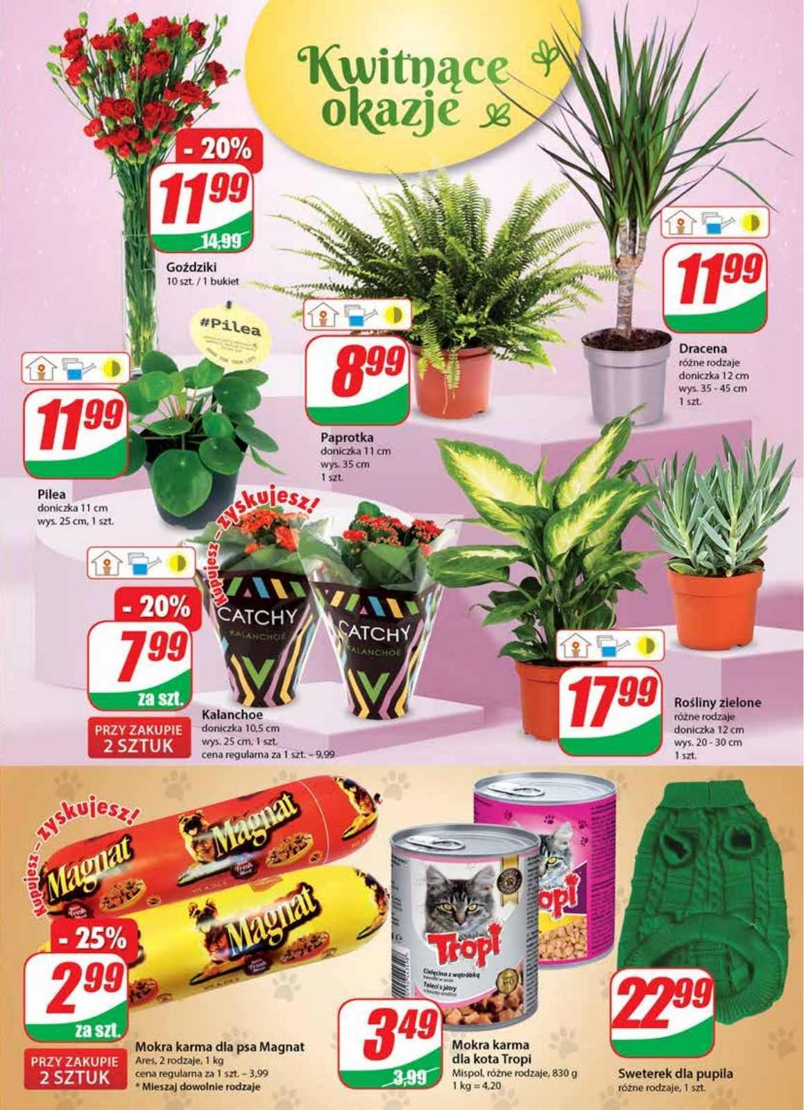 Gazetka promocyjna DINO str. 15