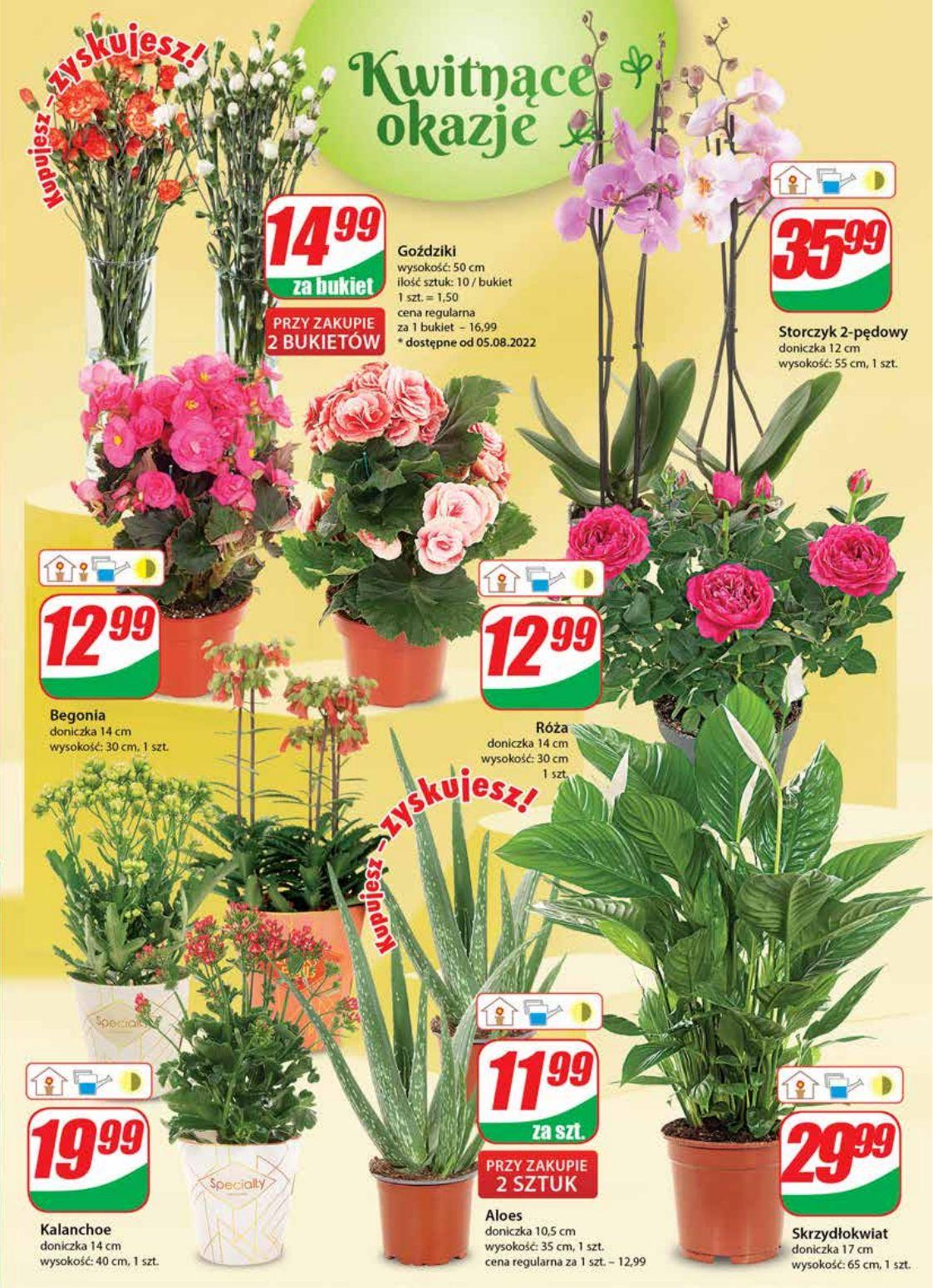 Gazetka promocyjna DINO str. 19