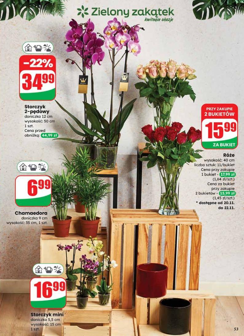 Gazetka promocyjna DINO str. 53