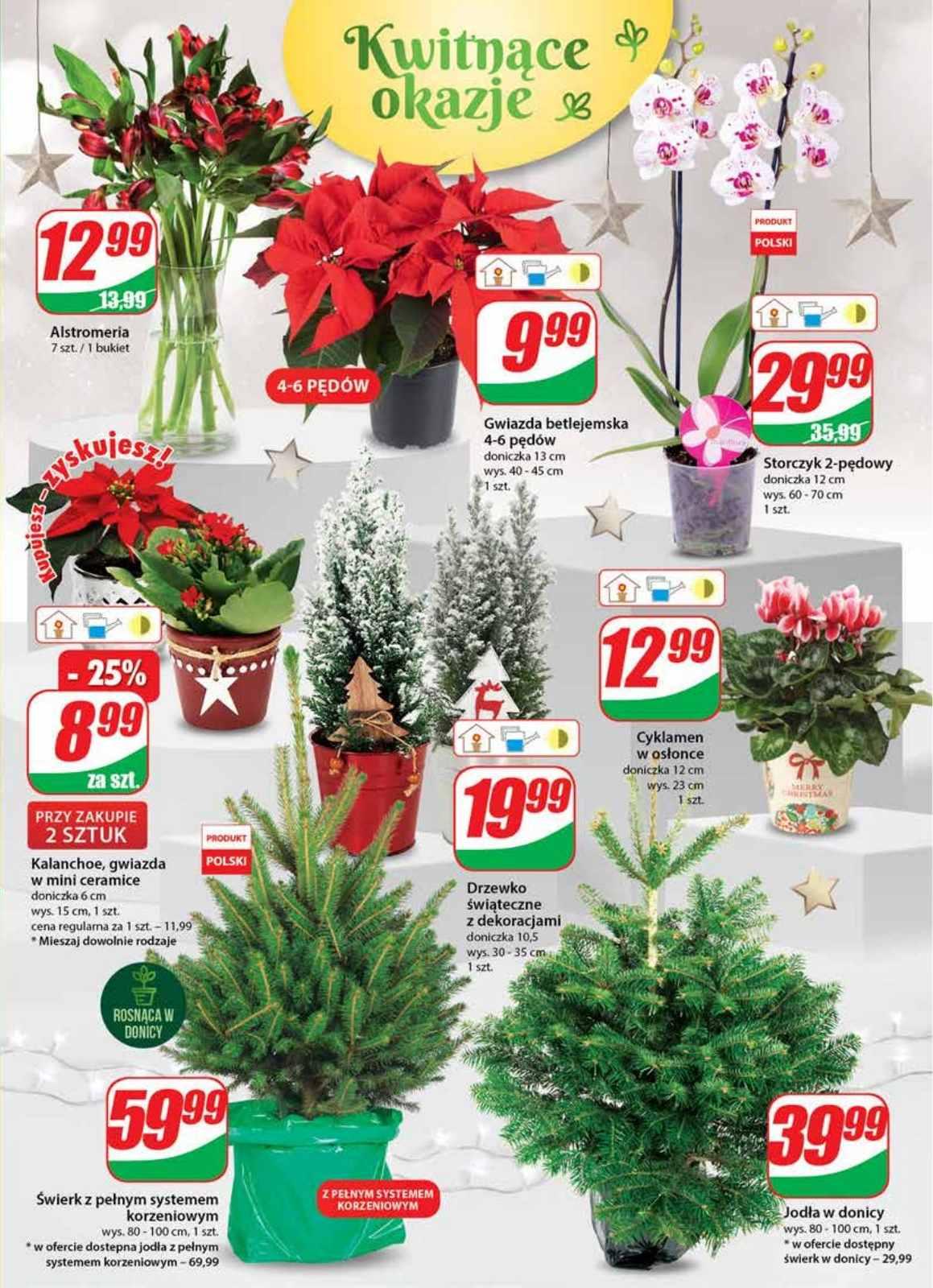 Gazetka promocyjna DINO str. 21