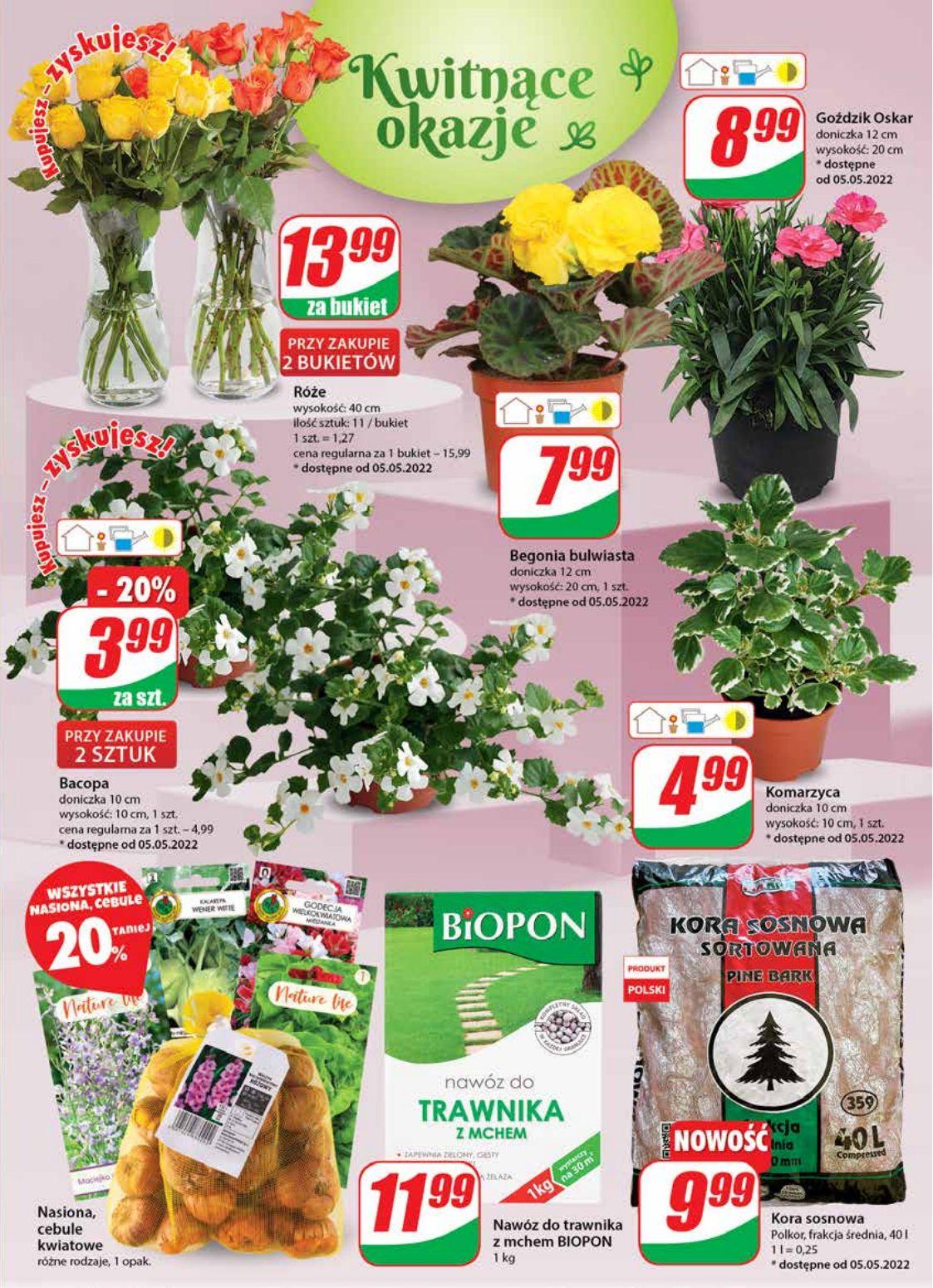 Gazetka promocyjna DINO str. 19