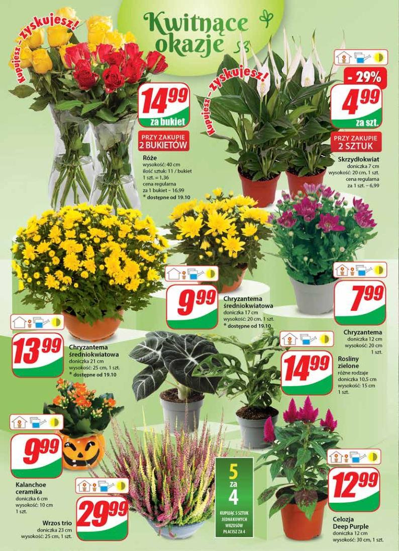 Gazetka promocyjna DINO str. 18