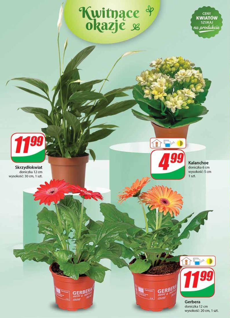 Gazetka promocyjna DINO str. 46