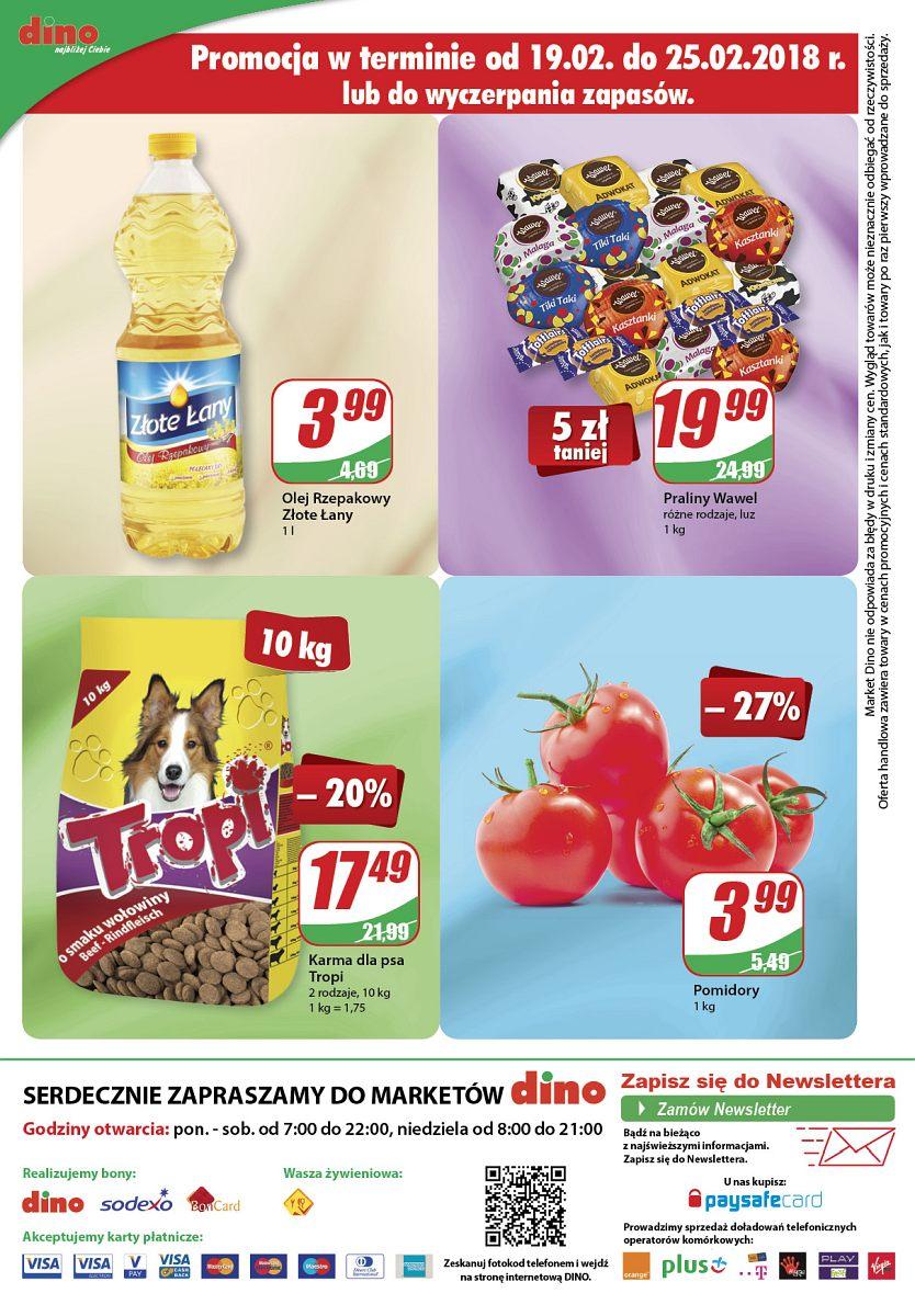 Gazetka promocyjna DINO str. 12