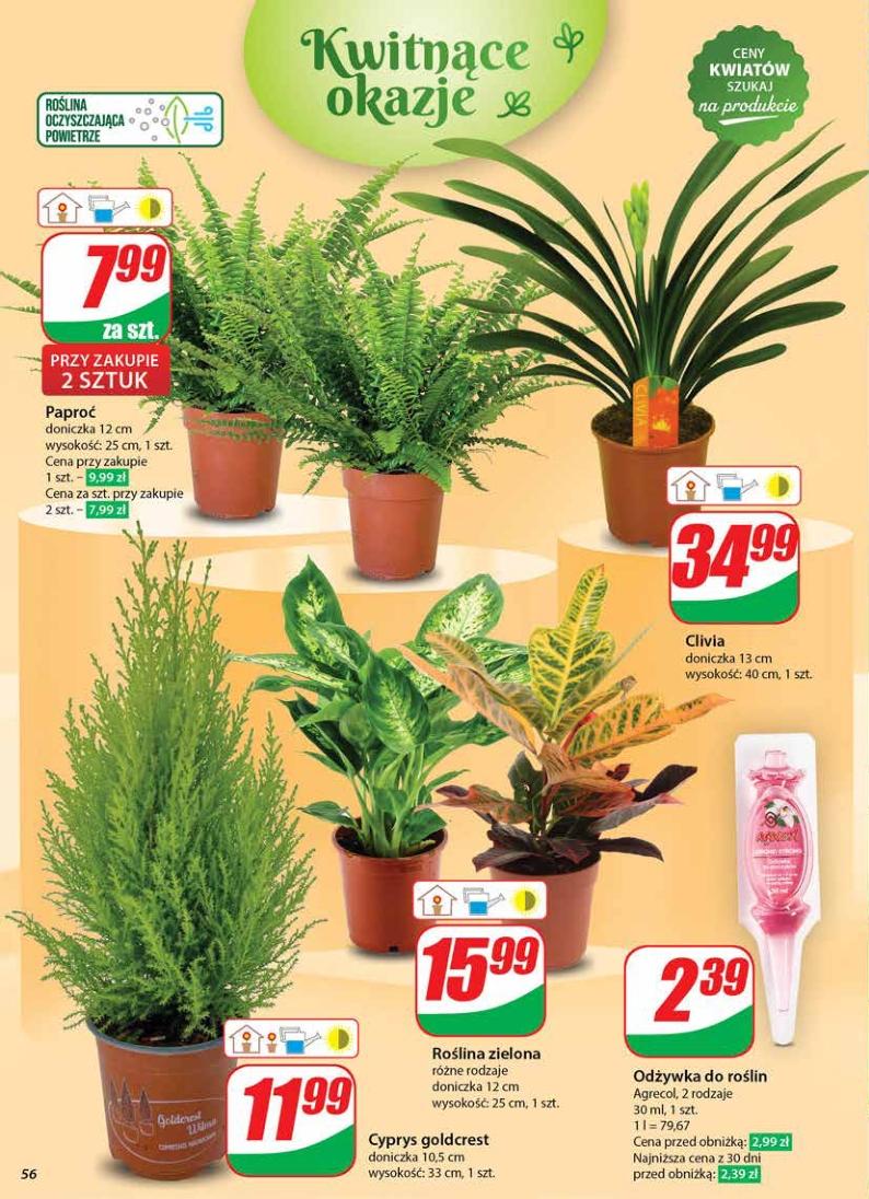 Gazetka promocyjna DINO str. 56