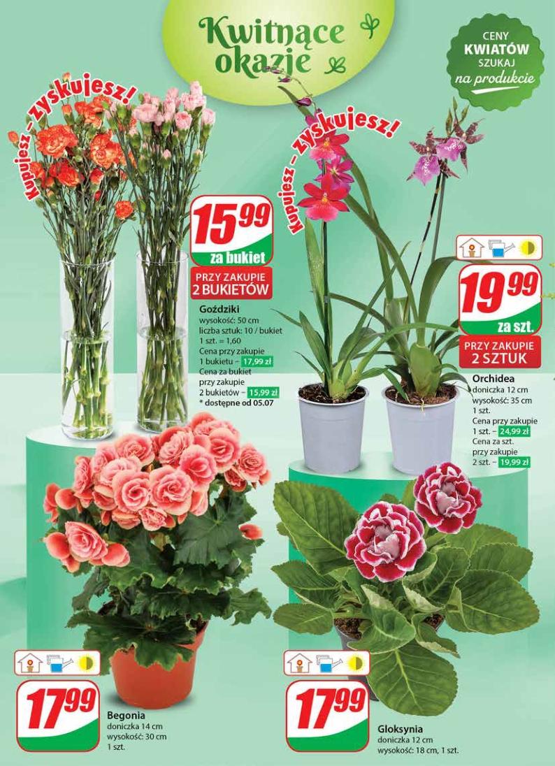 Gazetka promocyjna DINO str. 52