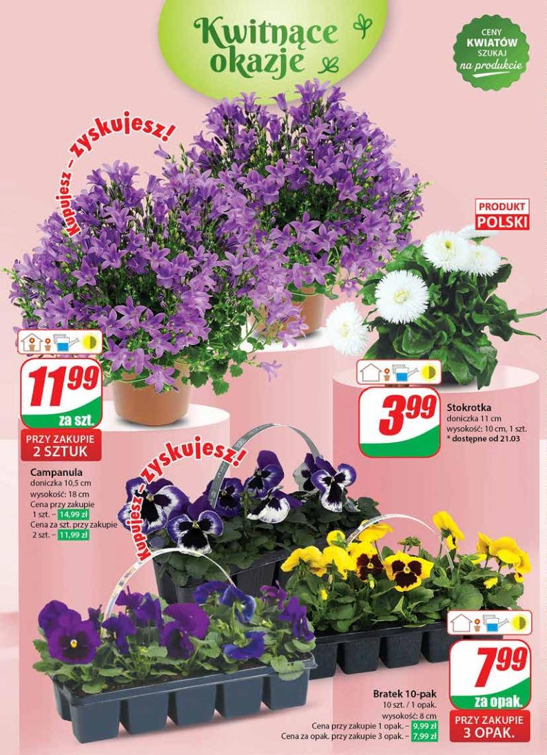 Gazetka promocyjna DINO str. 56