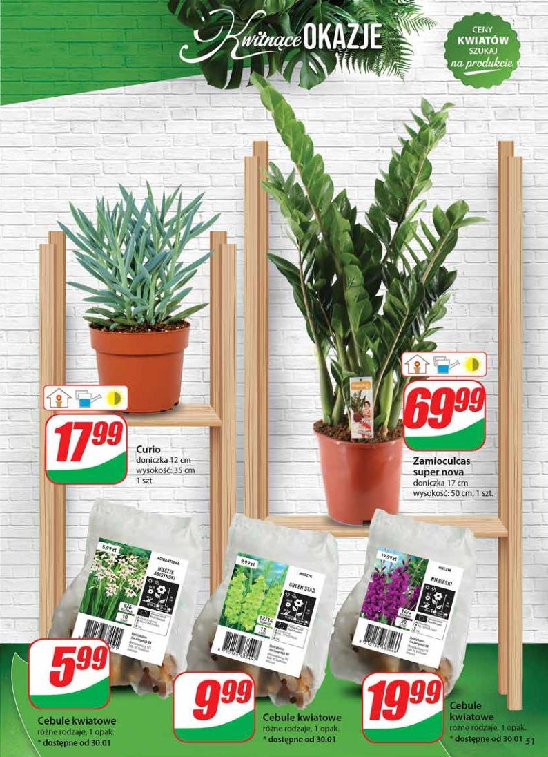 Gazetka promocyjna DINO str. 50