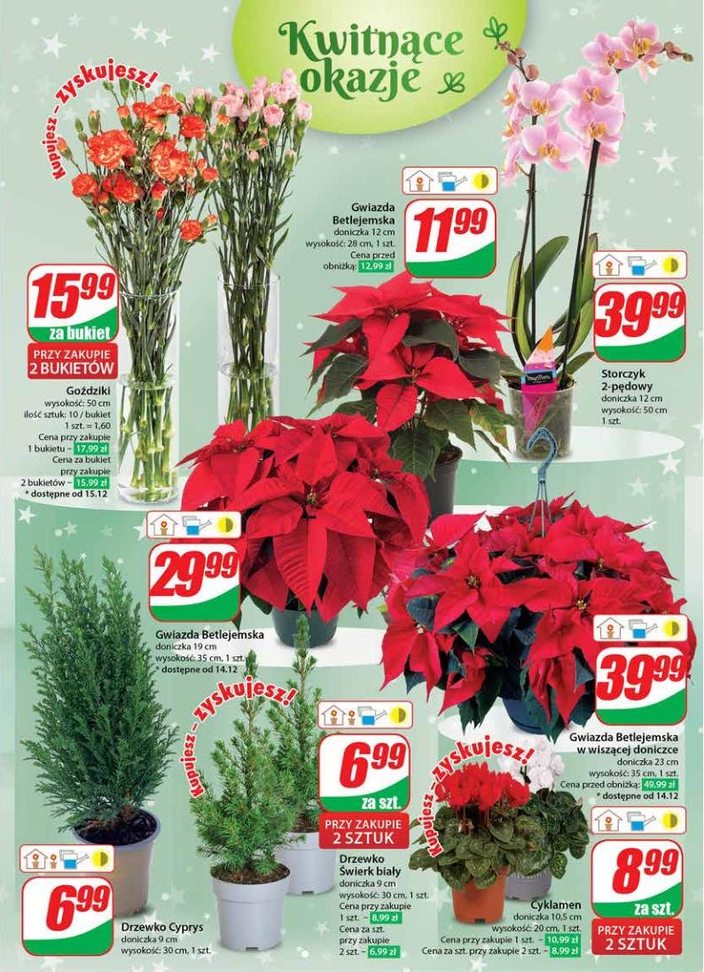 Gazetka promocyjna DINO str. 21