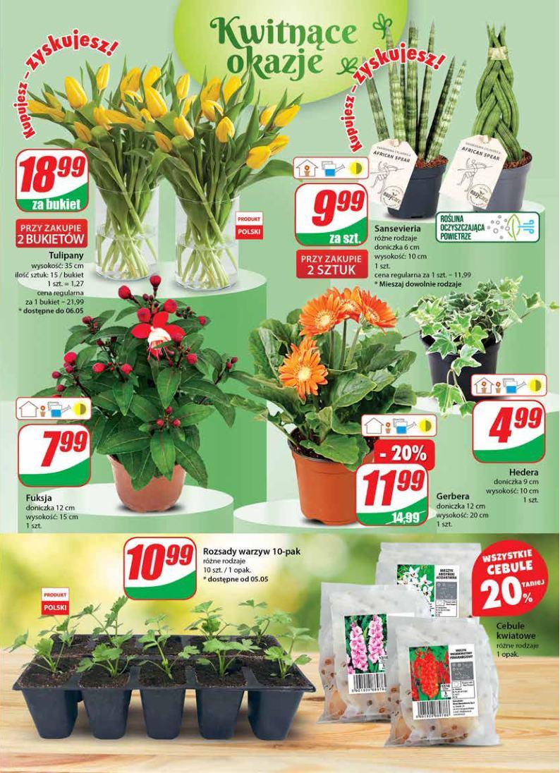 Gazetka promocyjna DINO str. 19