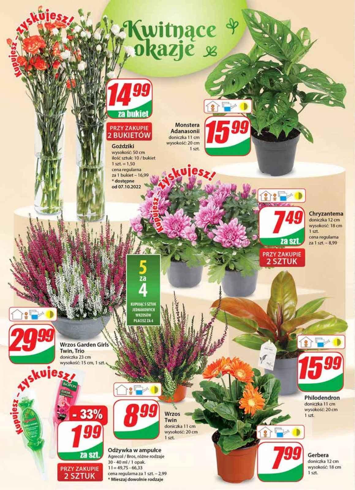 Gazetka promocyjna DINO str. 18