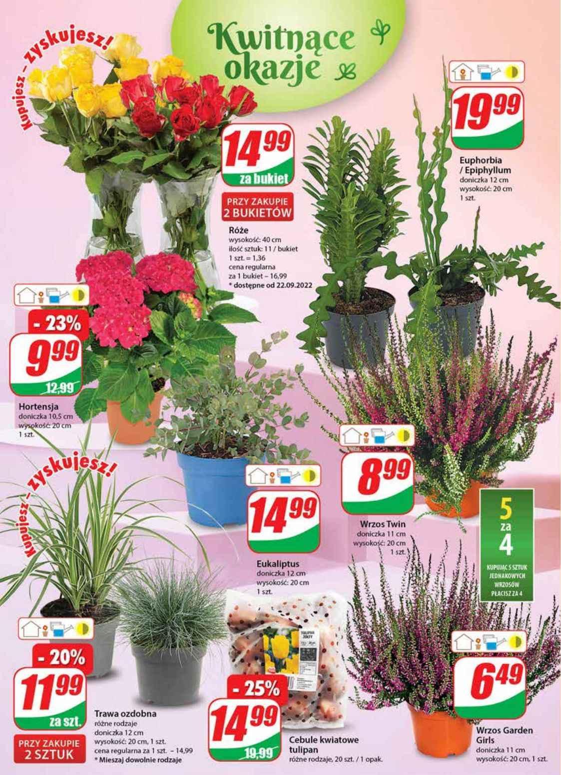 Gazetka promocyjna DINO str. 18