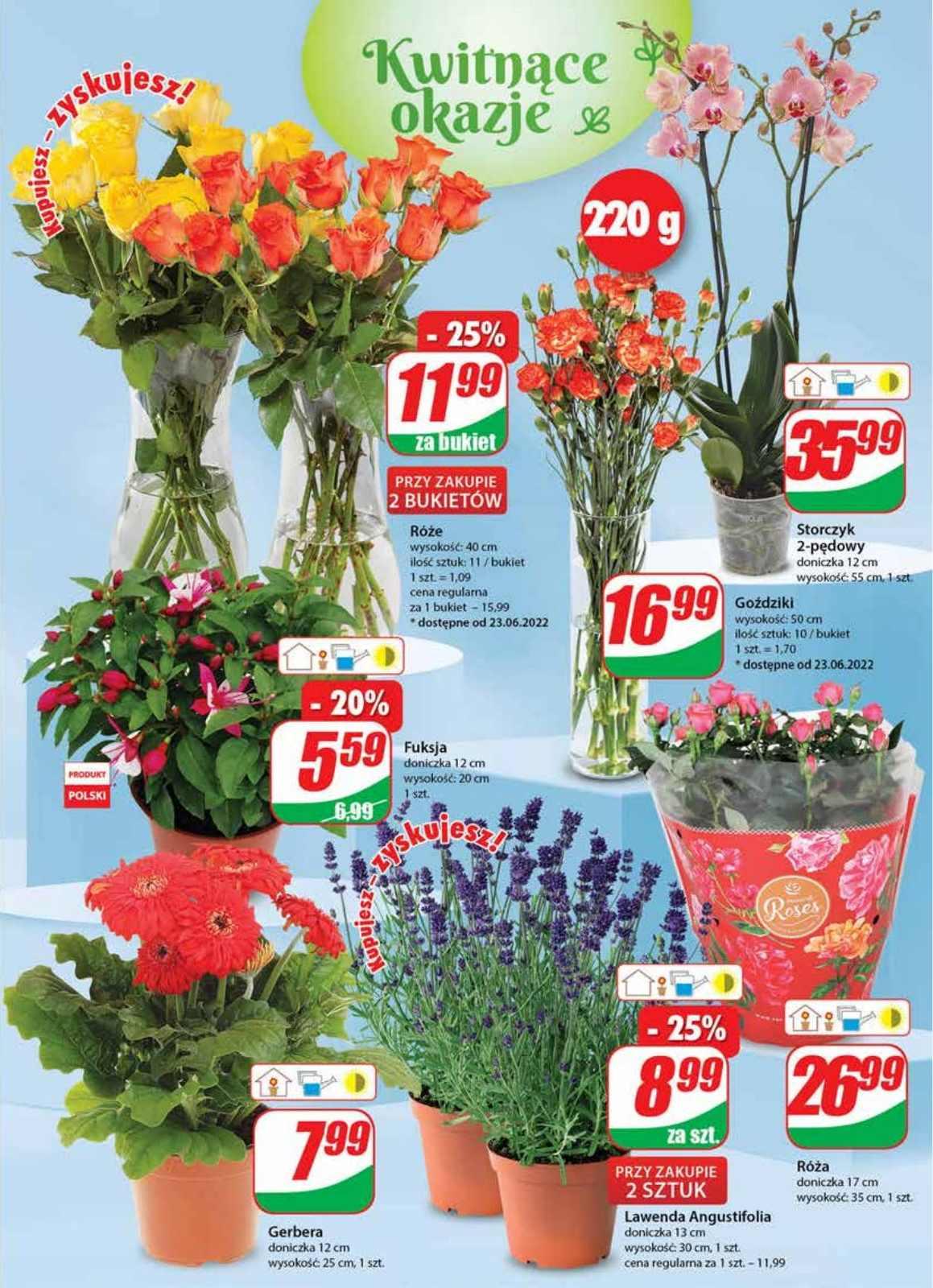 Gazetka promocyjna DINO str. 19