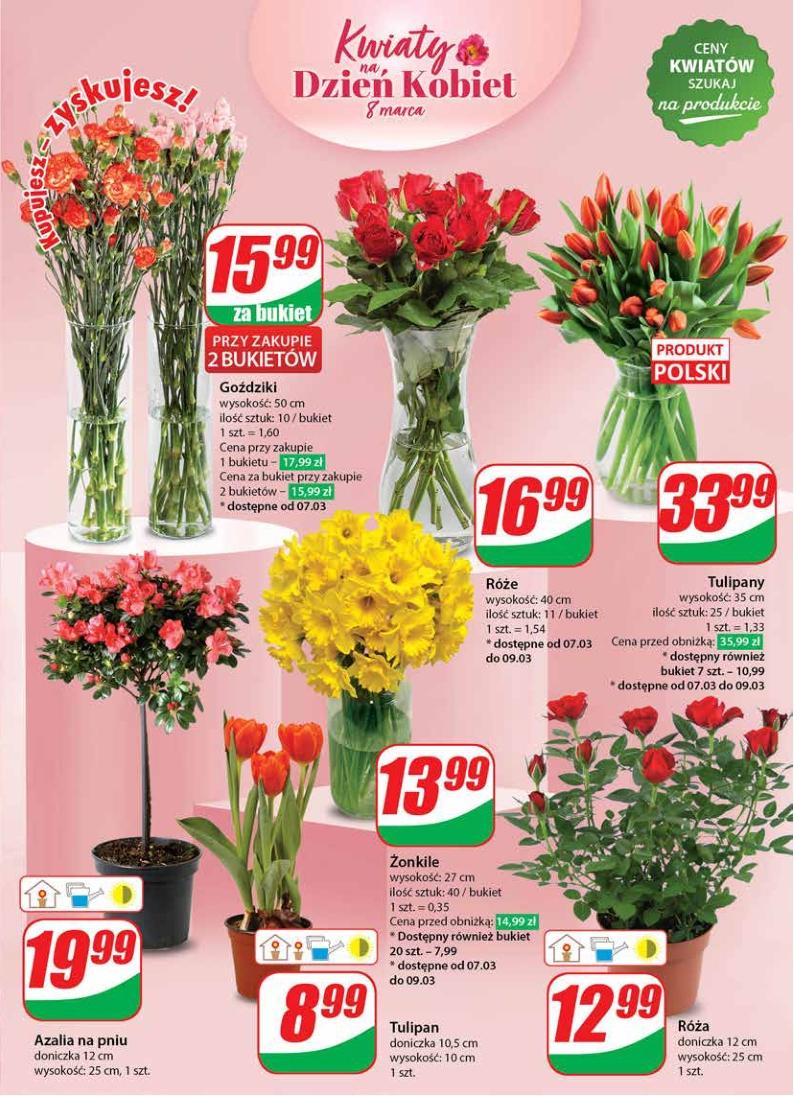 Gazetka promocyjna DINO str. 9