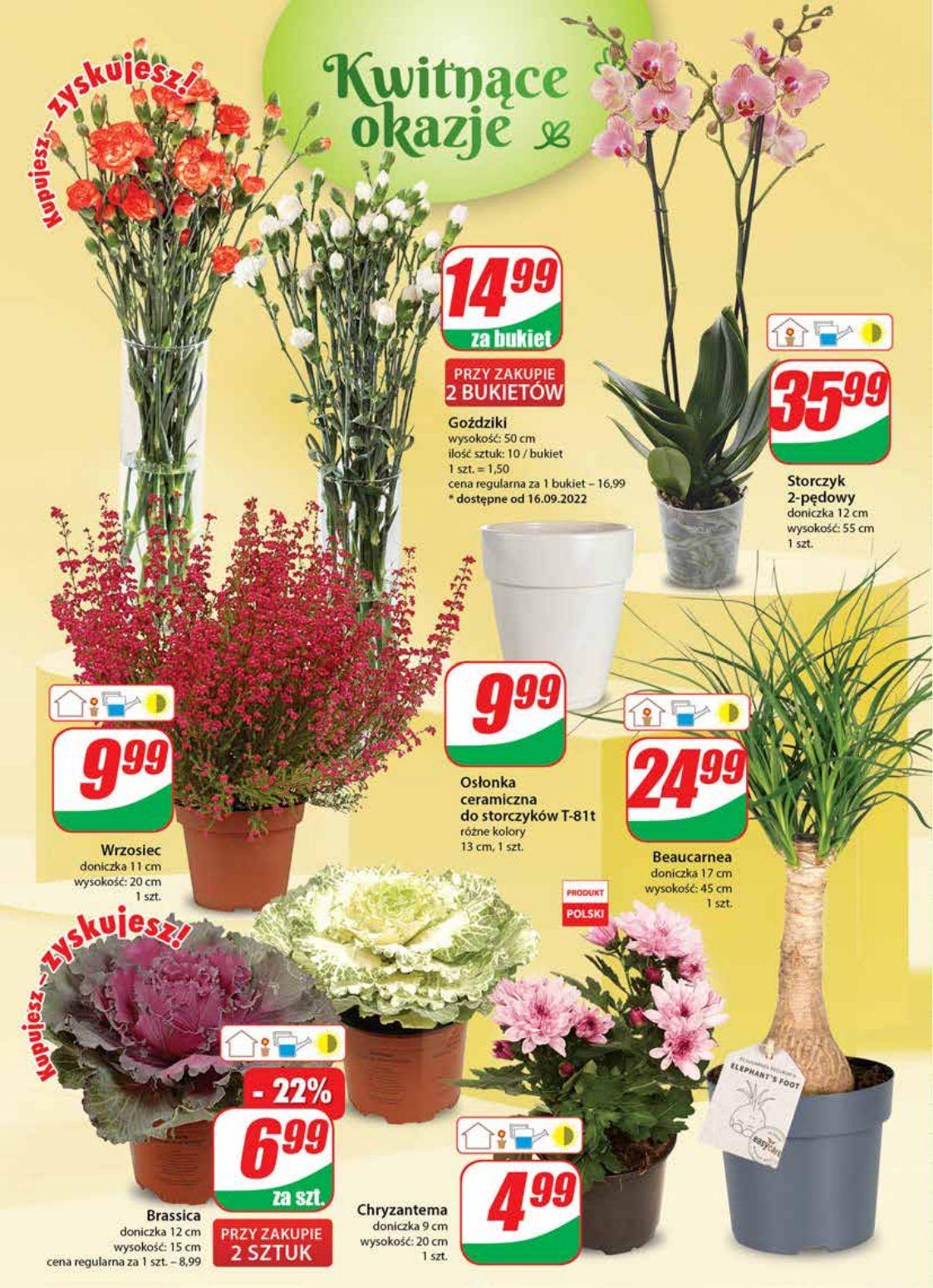 Gazetka promocyjna DINO str. 18