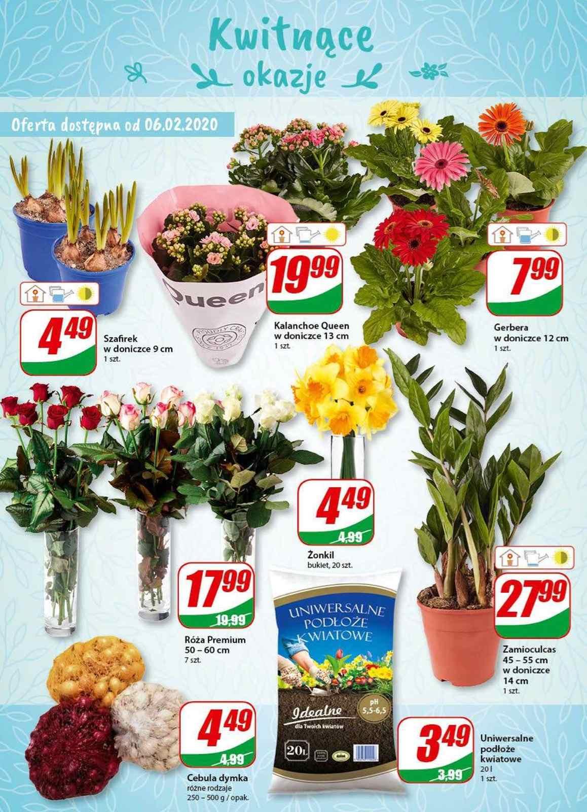 Gazetka promocyjna DINO str. 16