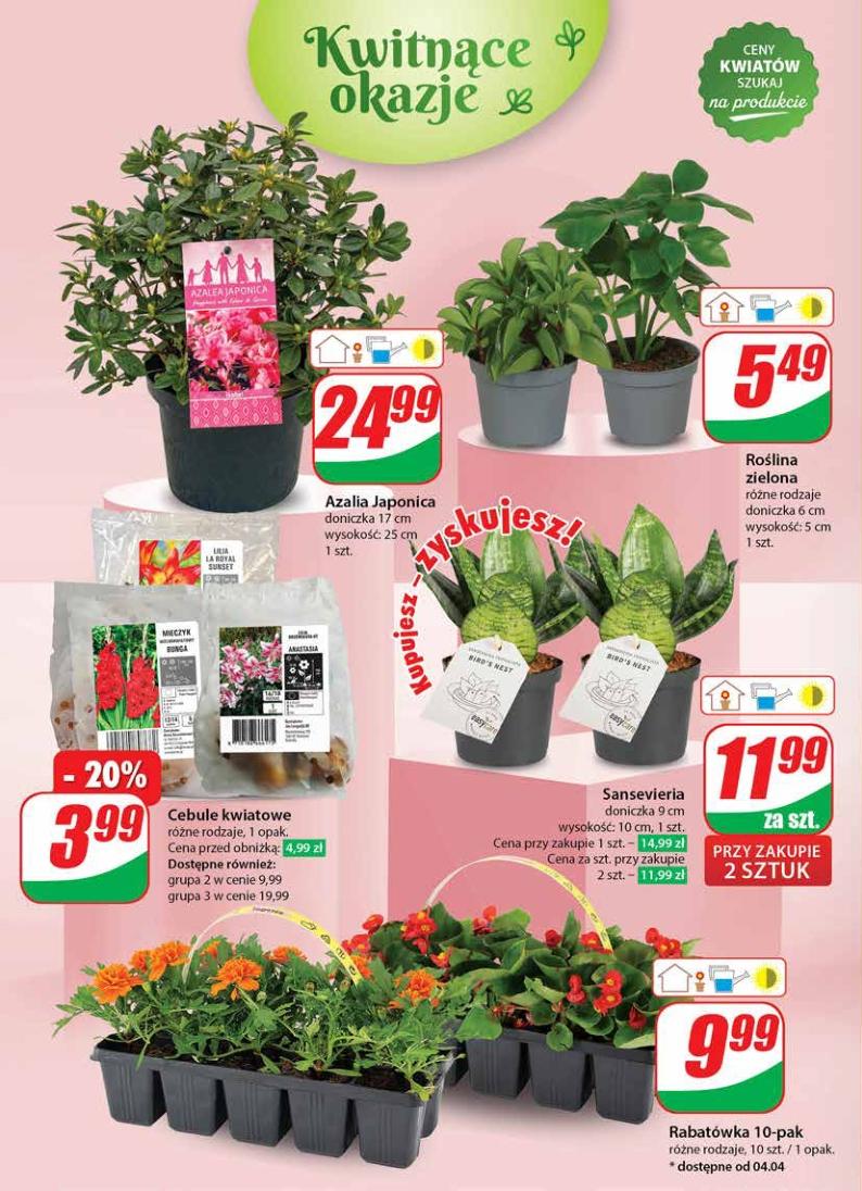 Gazetka promocyjna DINO str. 52