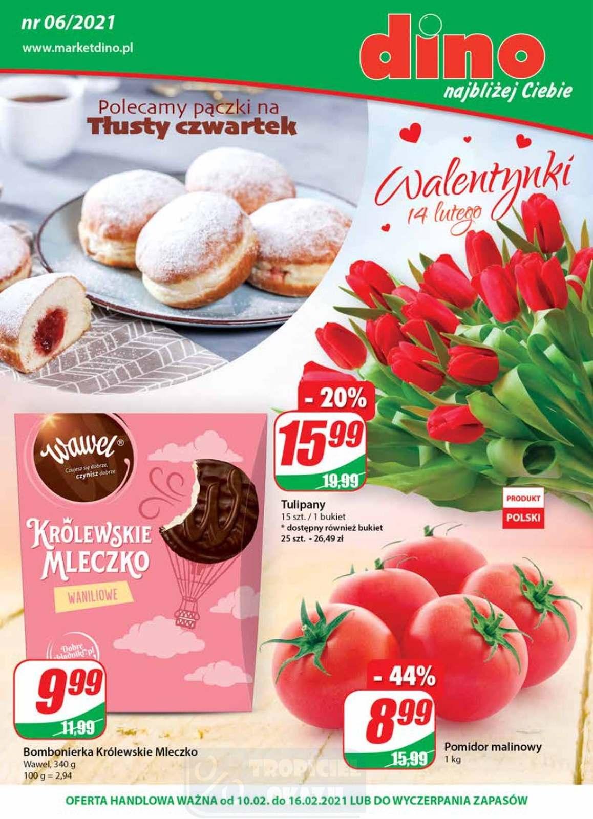 Gazetka promocyjna DINO str. 1