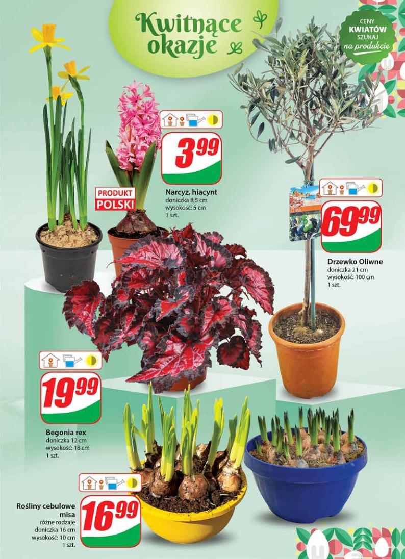 Gazetka promocyjna DINO str. 55