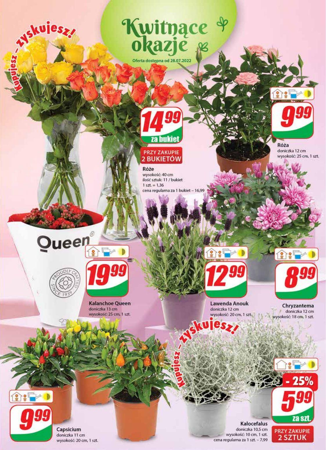 Gazetka promocyjna DINO str. 19