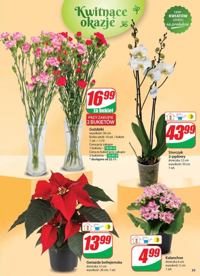 Gazetka promocyjna DINO str. 55