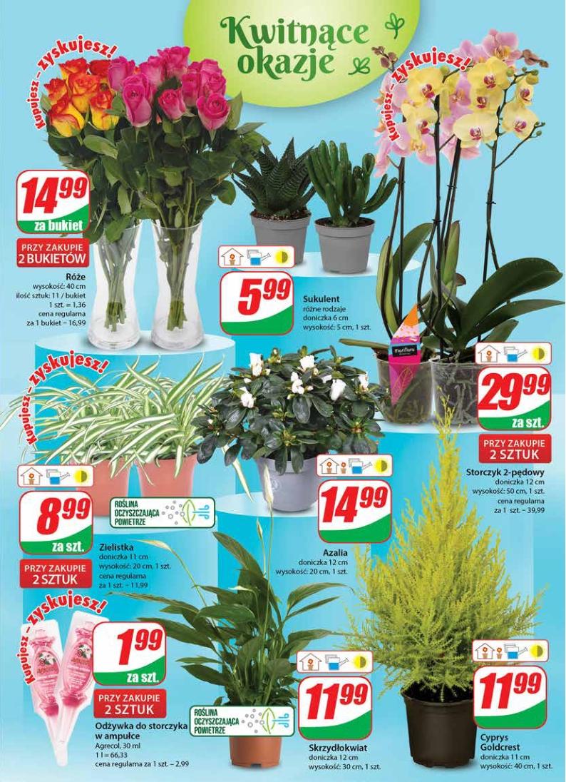 Gazetka promocyjna DINO str. 19