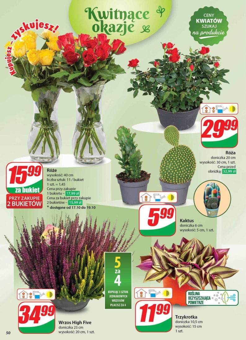 Gazetka promocyjna DINO str. 50